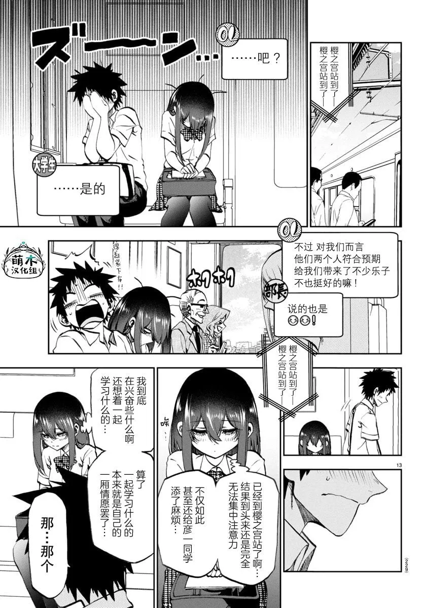 17 第13页