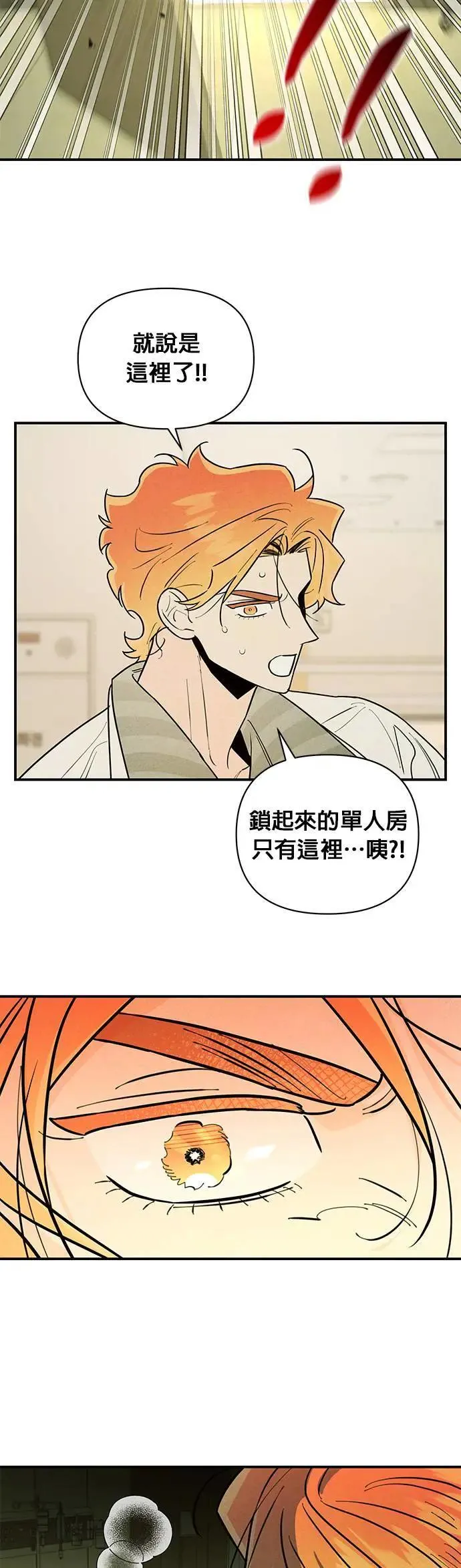 第24话 本能 第46页