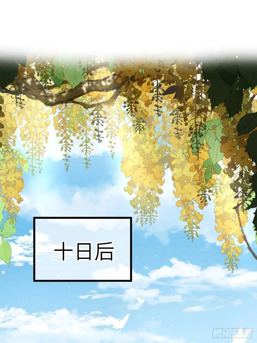 第十三章 固执的理由 第36页