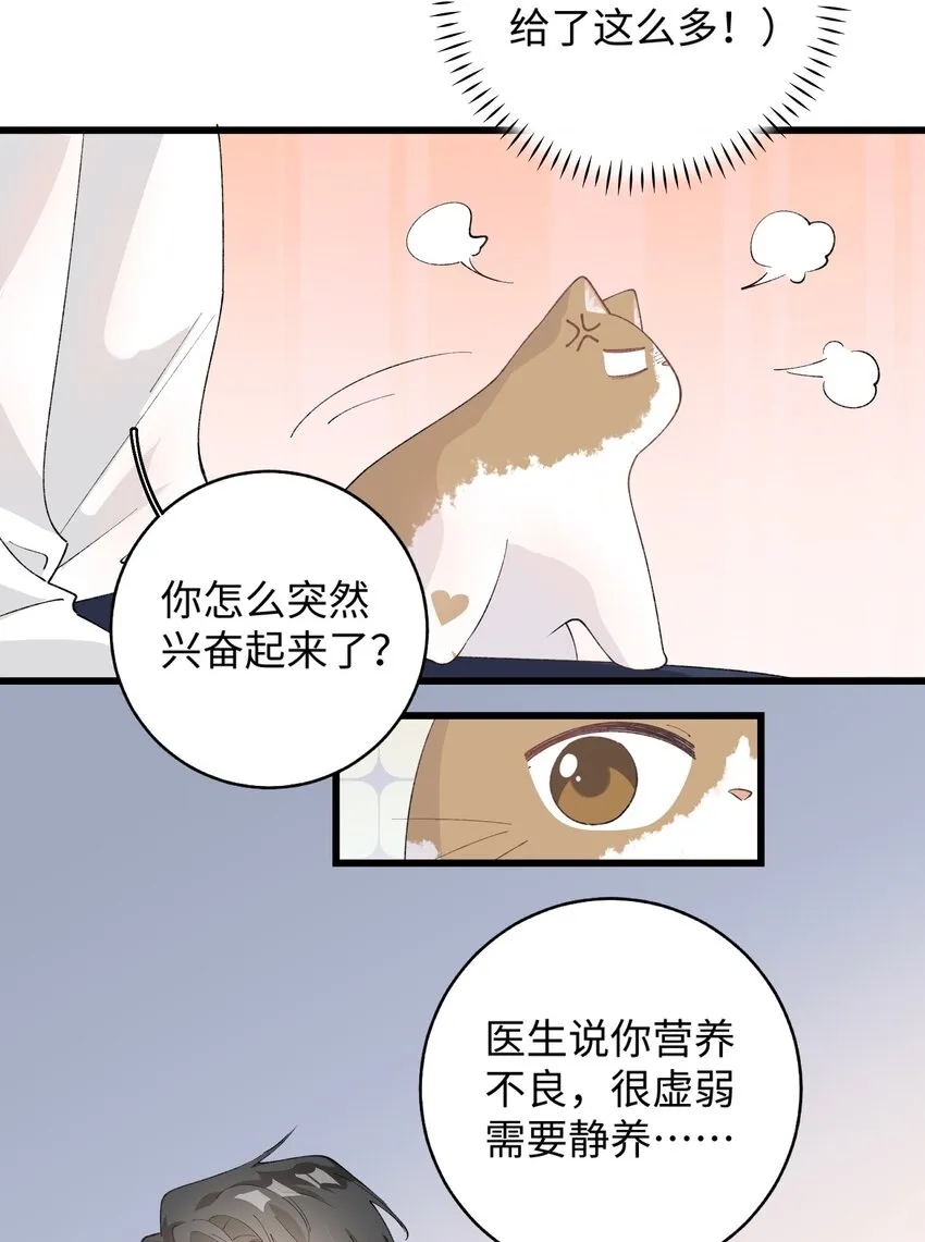 027 喵与人的信任一文不值！！！【震声】 第5页