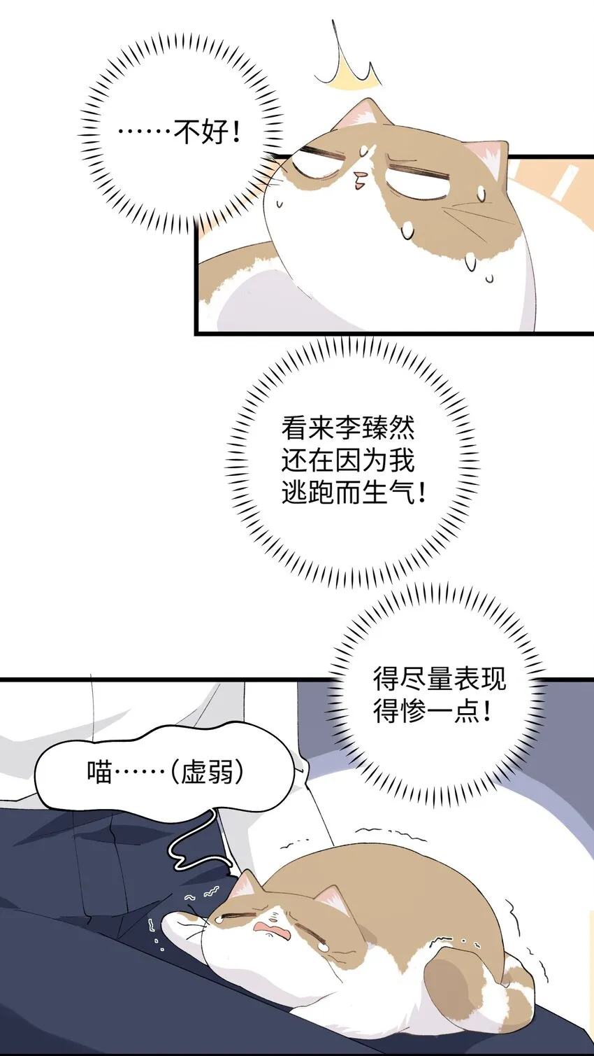 027 喵与人的信任一文不值！！！【震声】 第7页