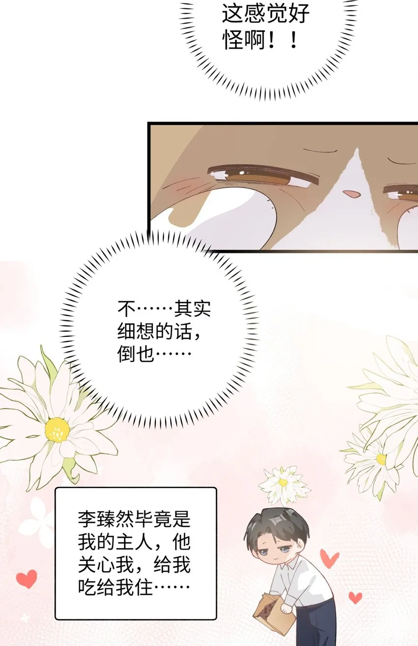 027 喵与人的信任一文不值！！！【震声】 第15页