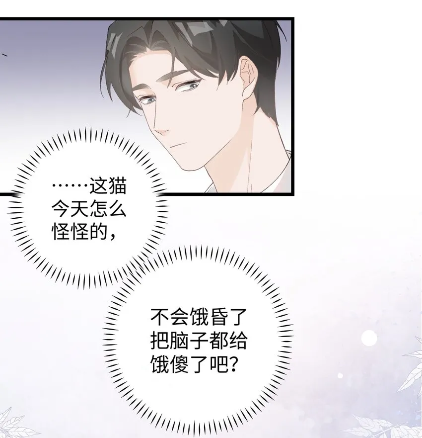 027 喵与人的信任一文不值！！！【震声】 第17页