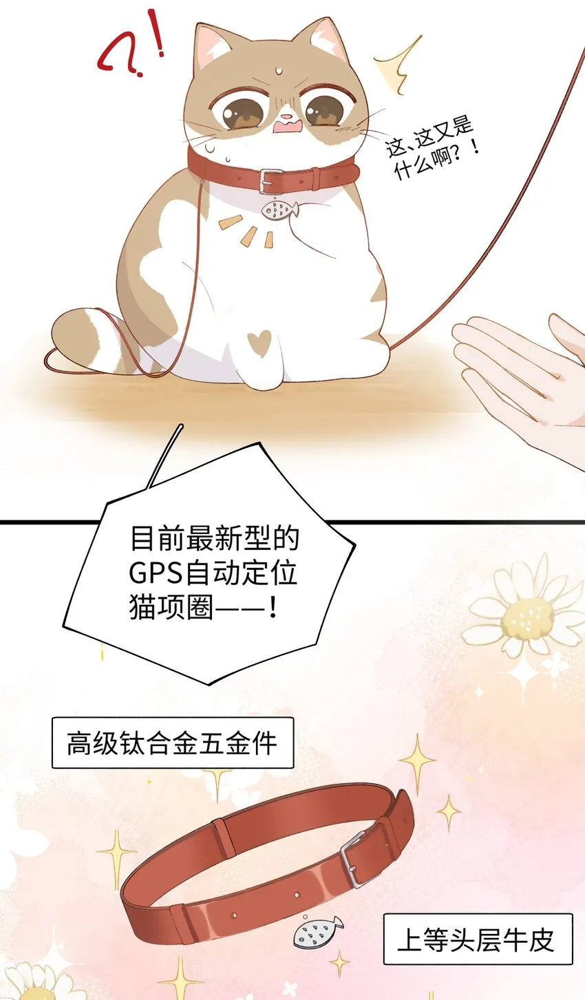 027 喵与人的信任一文不值！！！【震声】 第28页