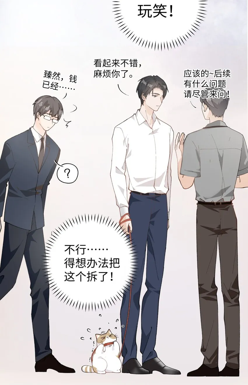 027 喵与人的信任一文不值！！！【震声】 第31页