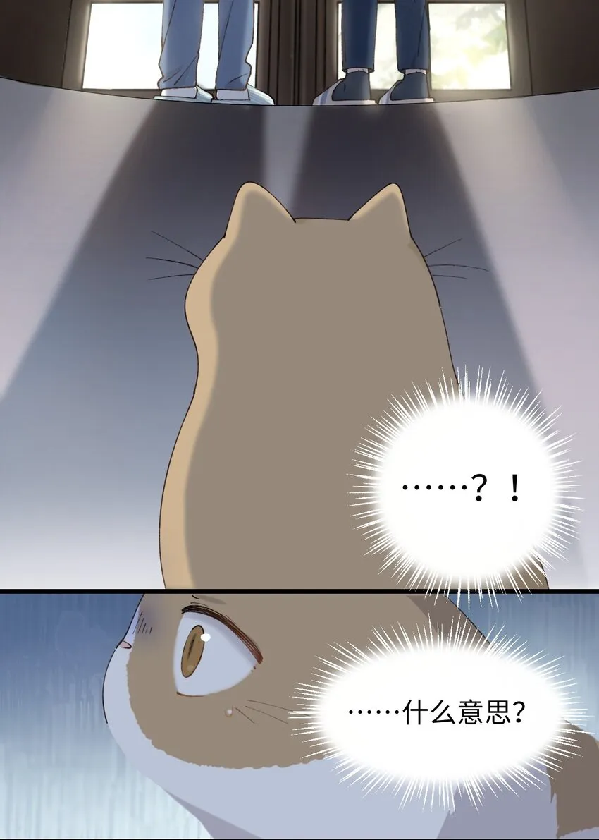023 他们在说什么……？ 第34页