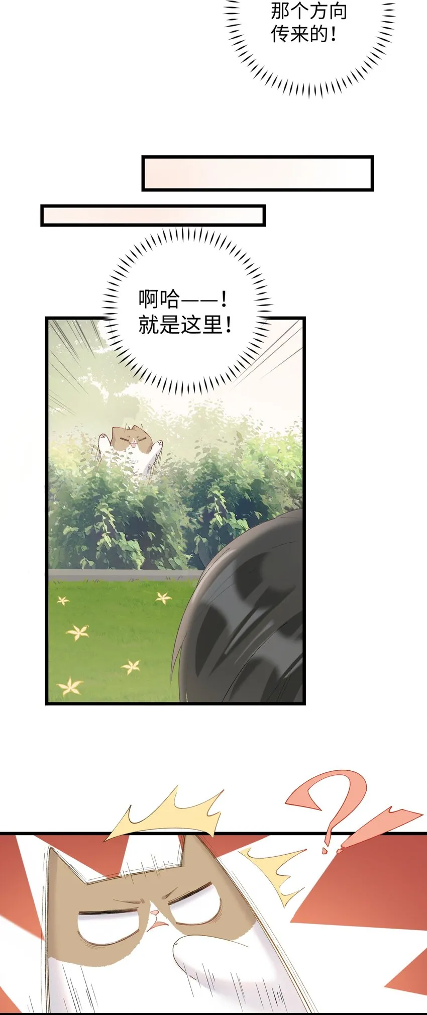 015 原则喂了小鱼干 第31页
