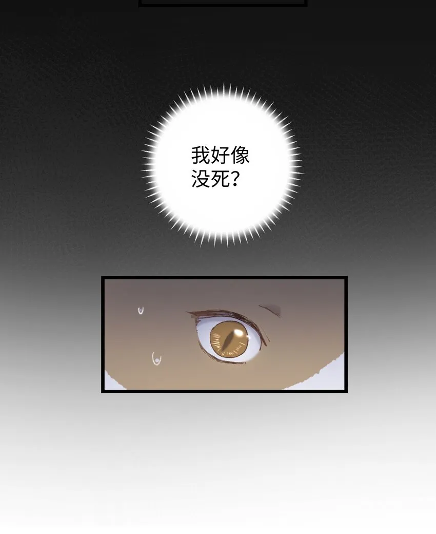 009 猫猫翻大车 第42页