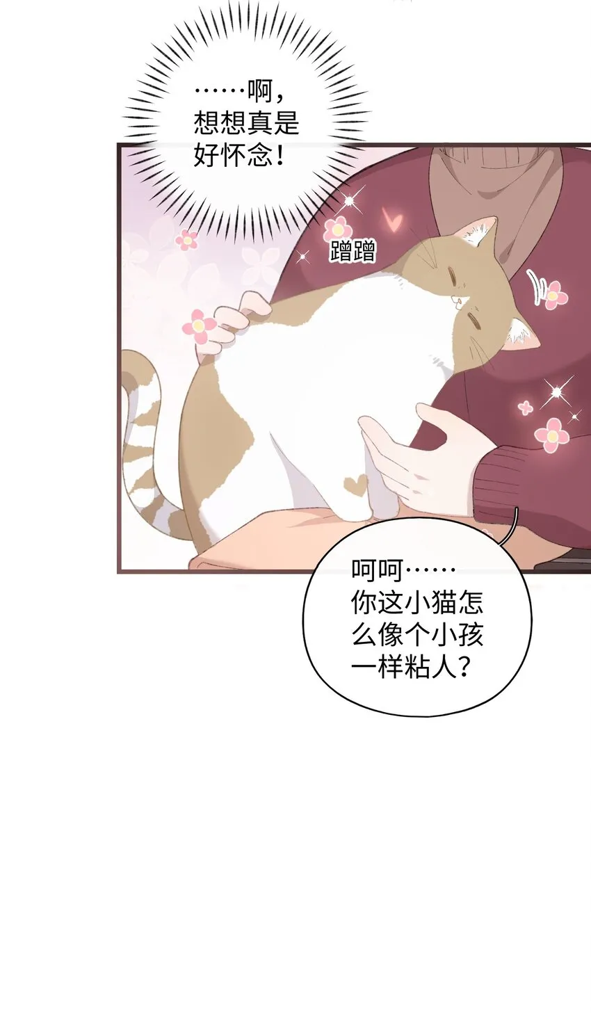 005 猫猫回家乐 第28页