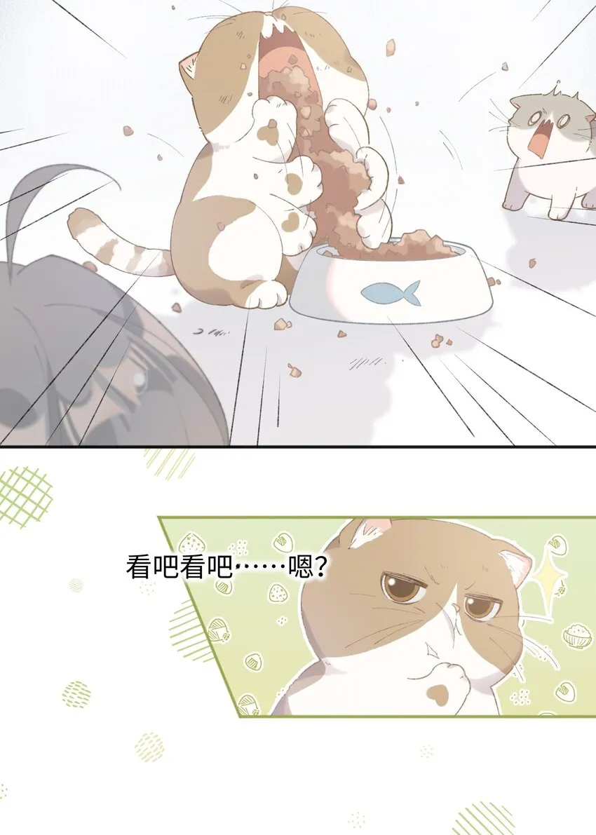001 充满智慧的小猫咪 第30页