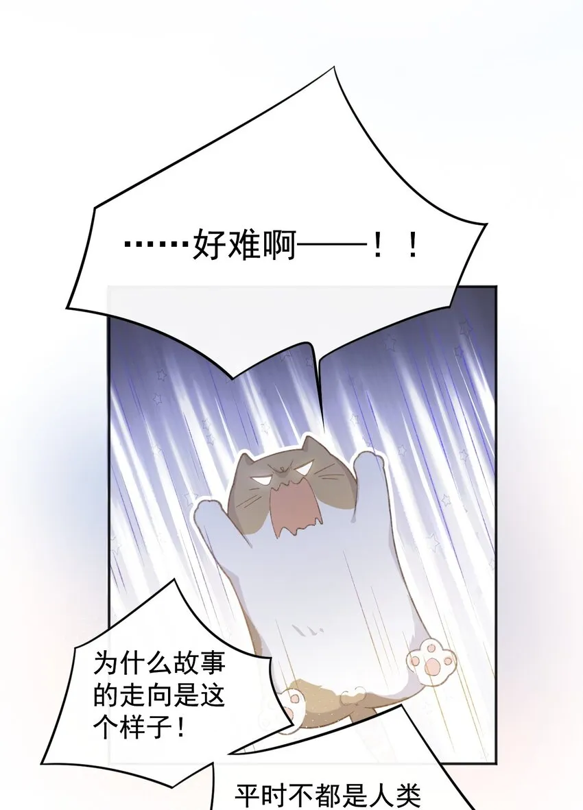 001 充满智慧的小猫咪 第39页