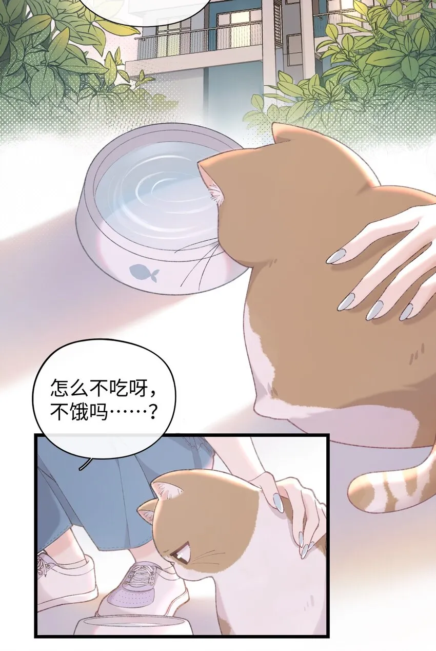 002 情侣养宠，多半分手 第3页