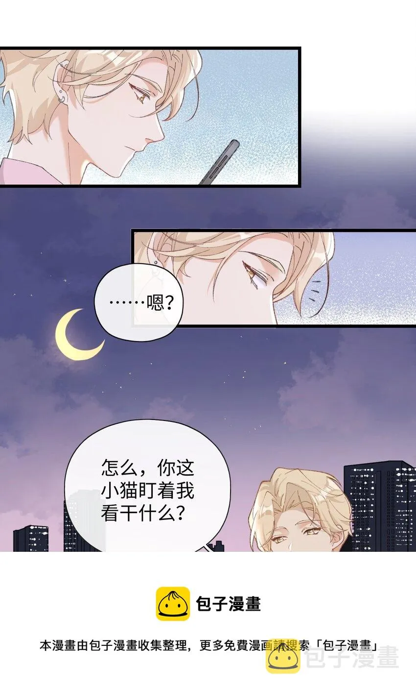 002 情侣养宠，多半分手 第13页