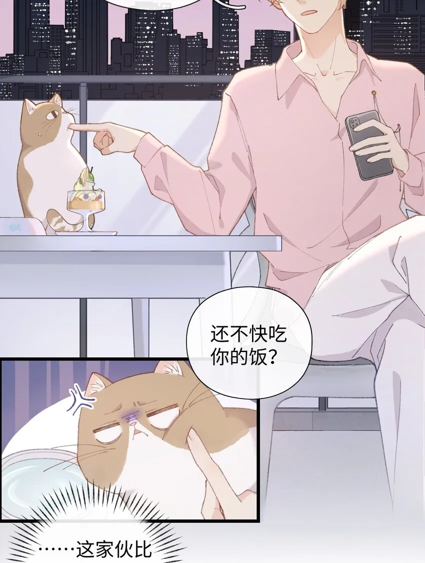 002 情侣养宠，多半分手 第14页