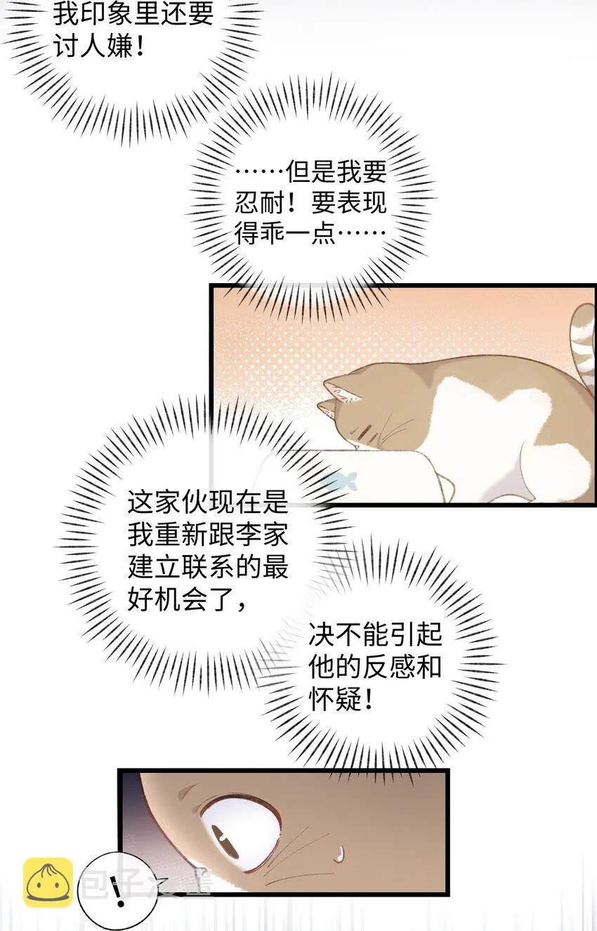 002 情侣养宠，多半分手 第15页