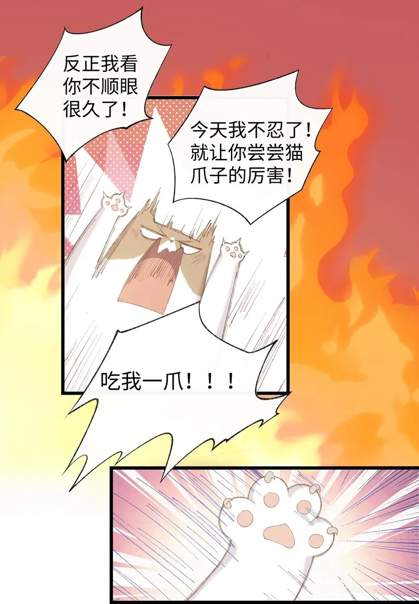 002 情侣养宠，多半分手 第18页