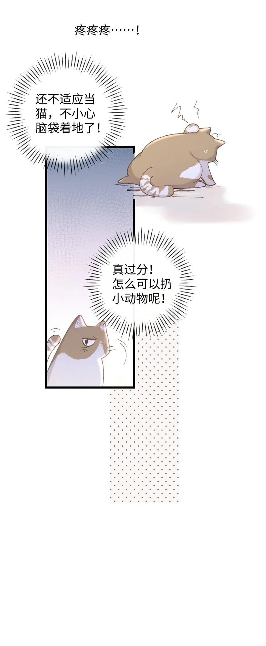 002 情侣养宠，多半分手 第24页