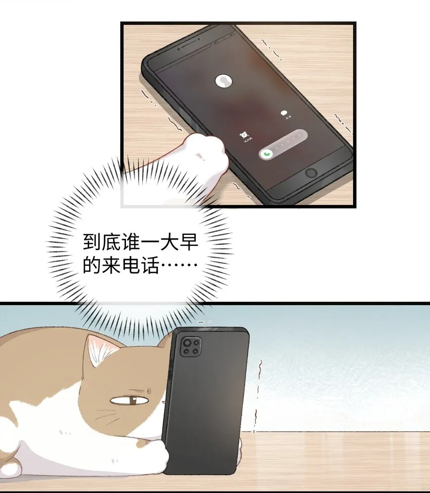 002 情侣养宠，多半分手 第31页