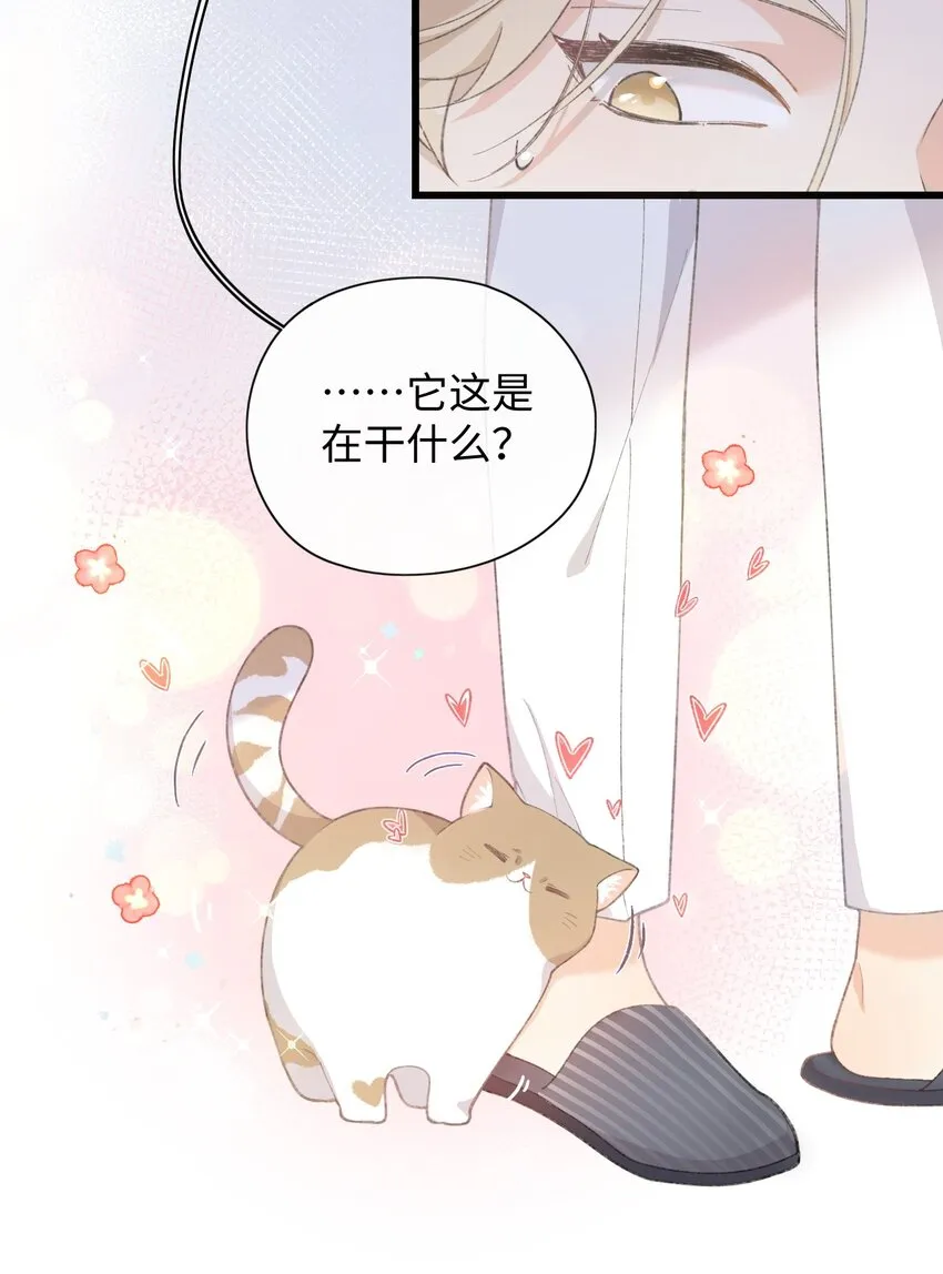 002 情侣养宠，多半分手 第39页