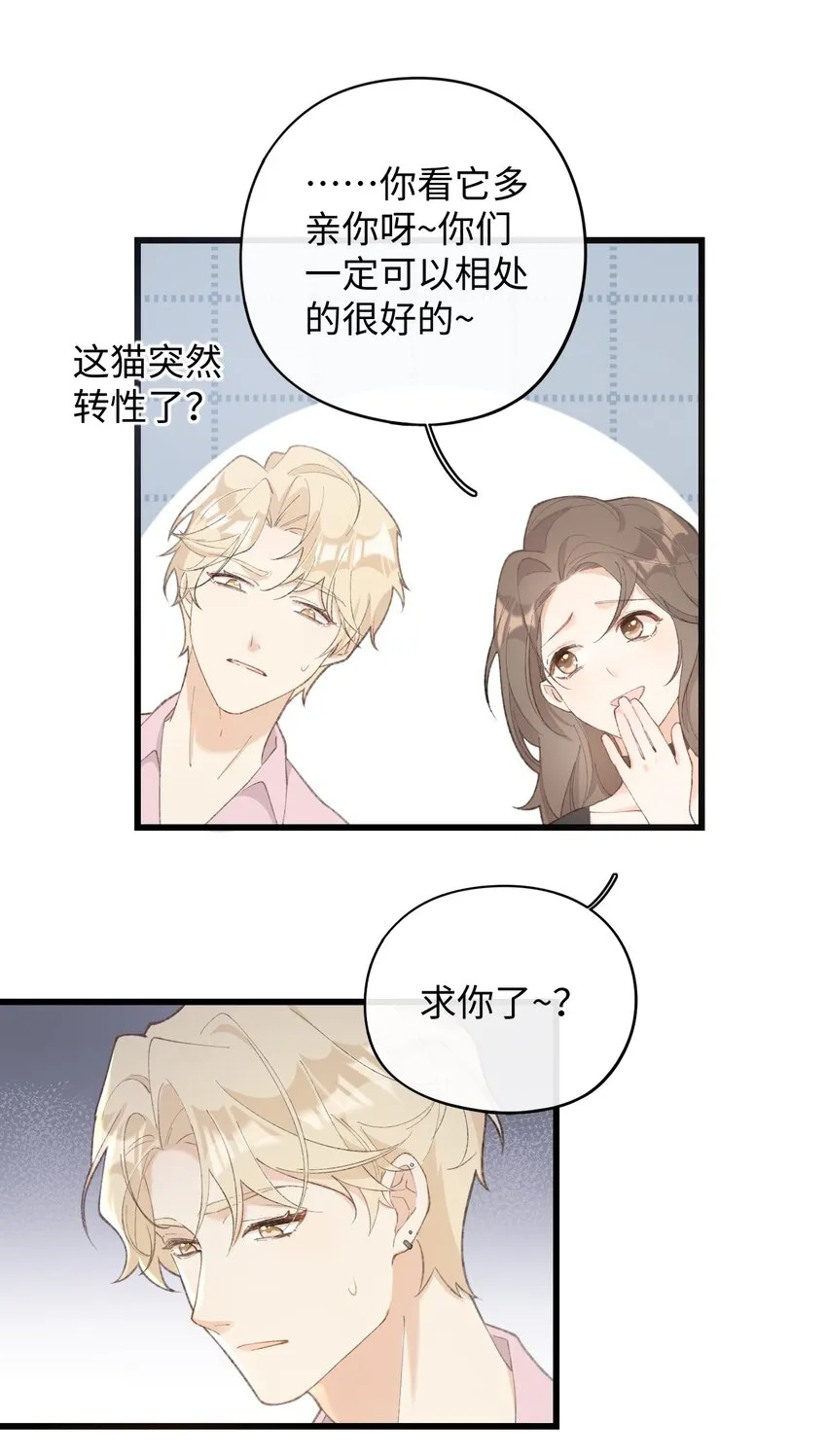 002 情侣养宠，多半分手 第40页