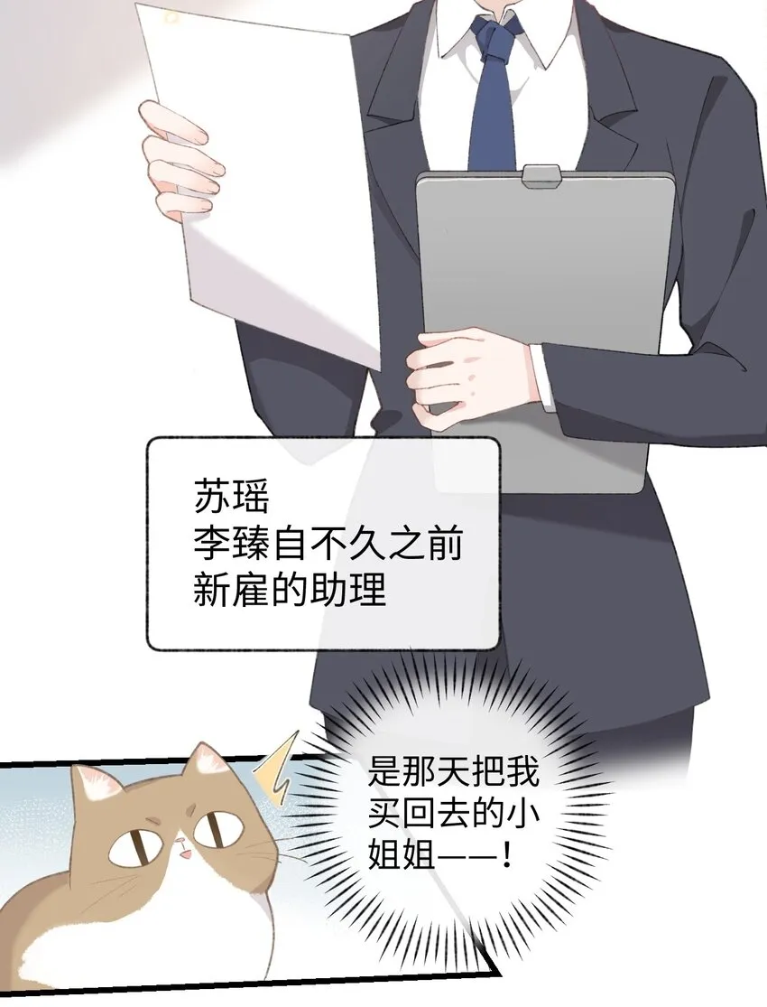 002 情侣养宠，多半分手 第47页