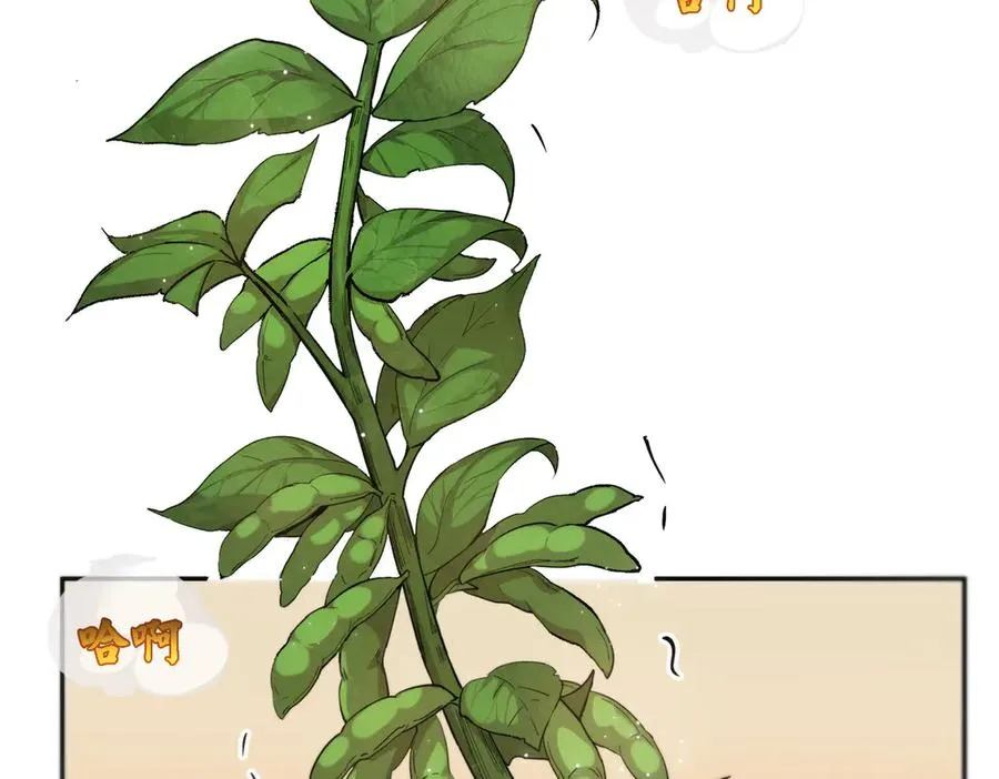 能力的用法（3） 第39页