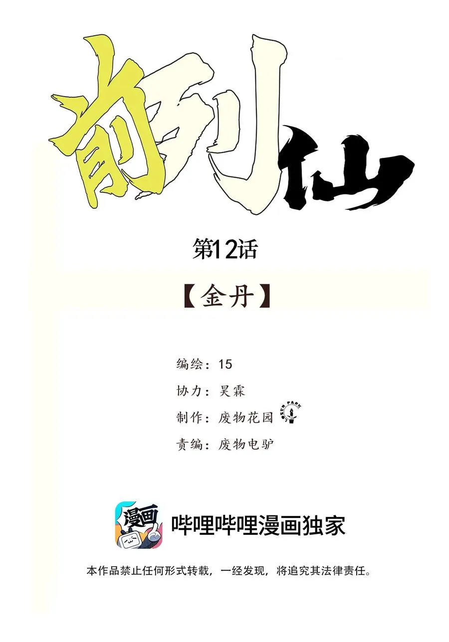 12 金丹 第2页