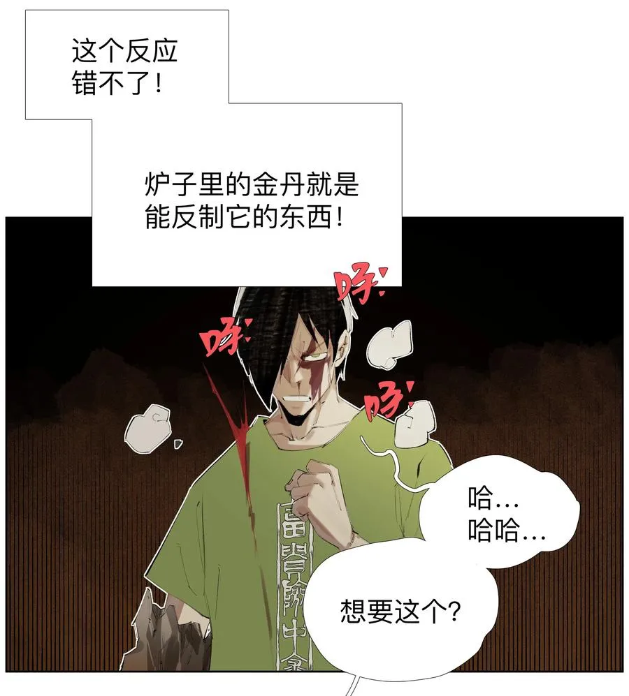 12 金丹 第22页