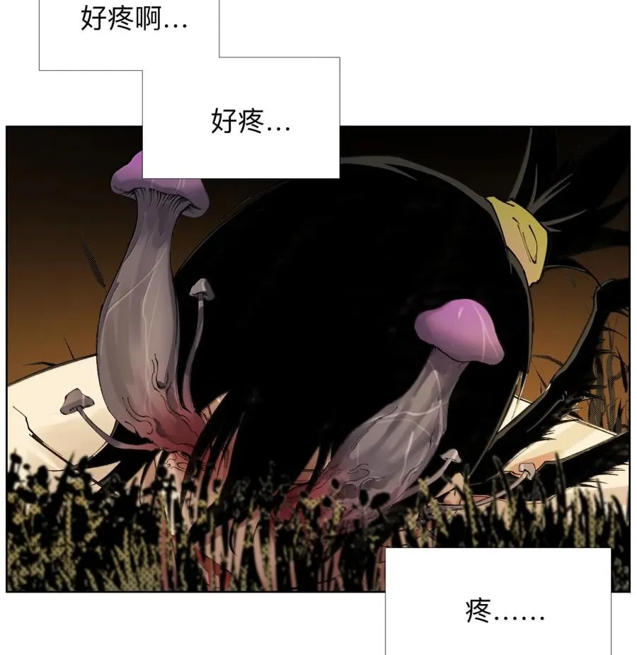30 仙菇 第41页