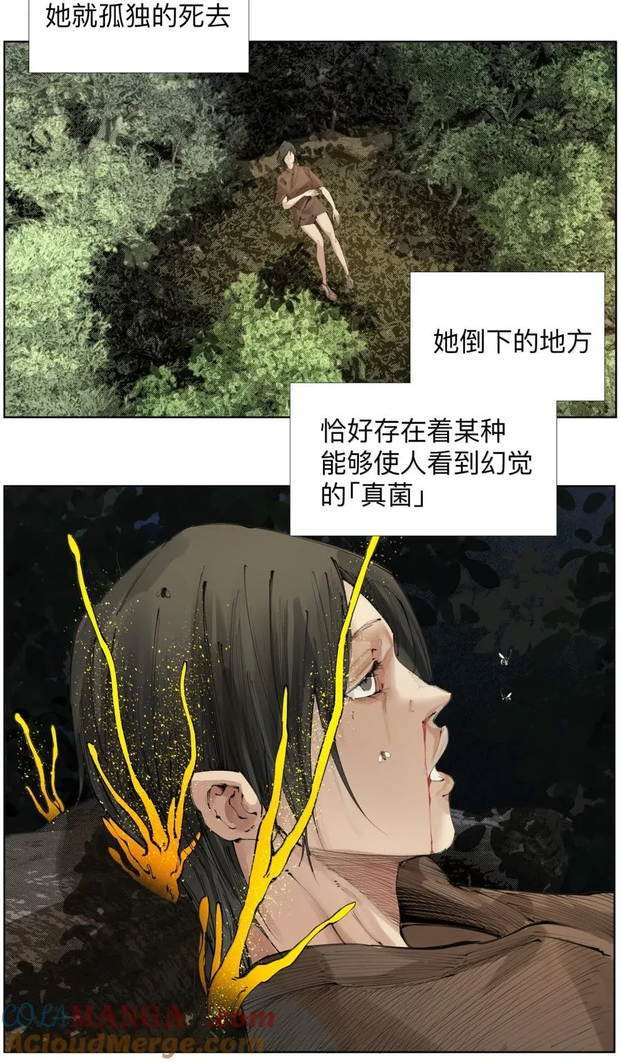55 VCR准备中 第4页