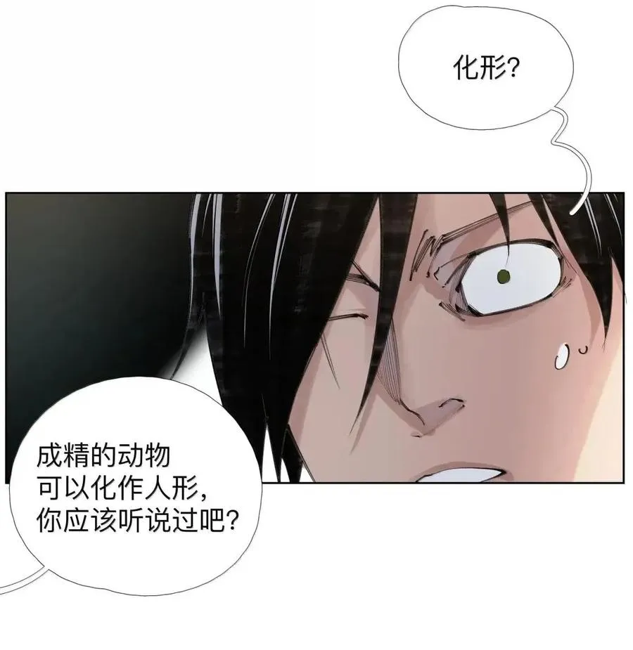 56 禁止化形 第41页