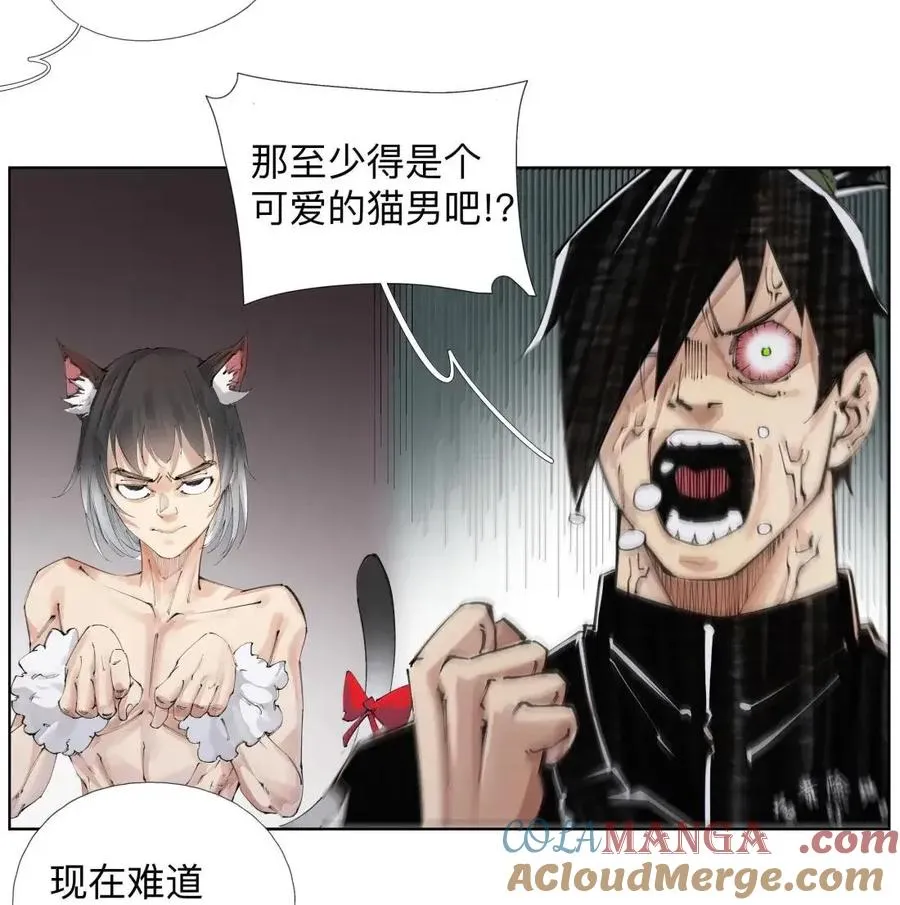 56 禁止化形 第43页