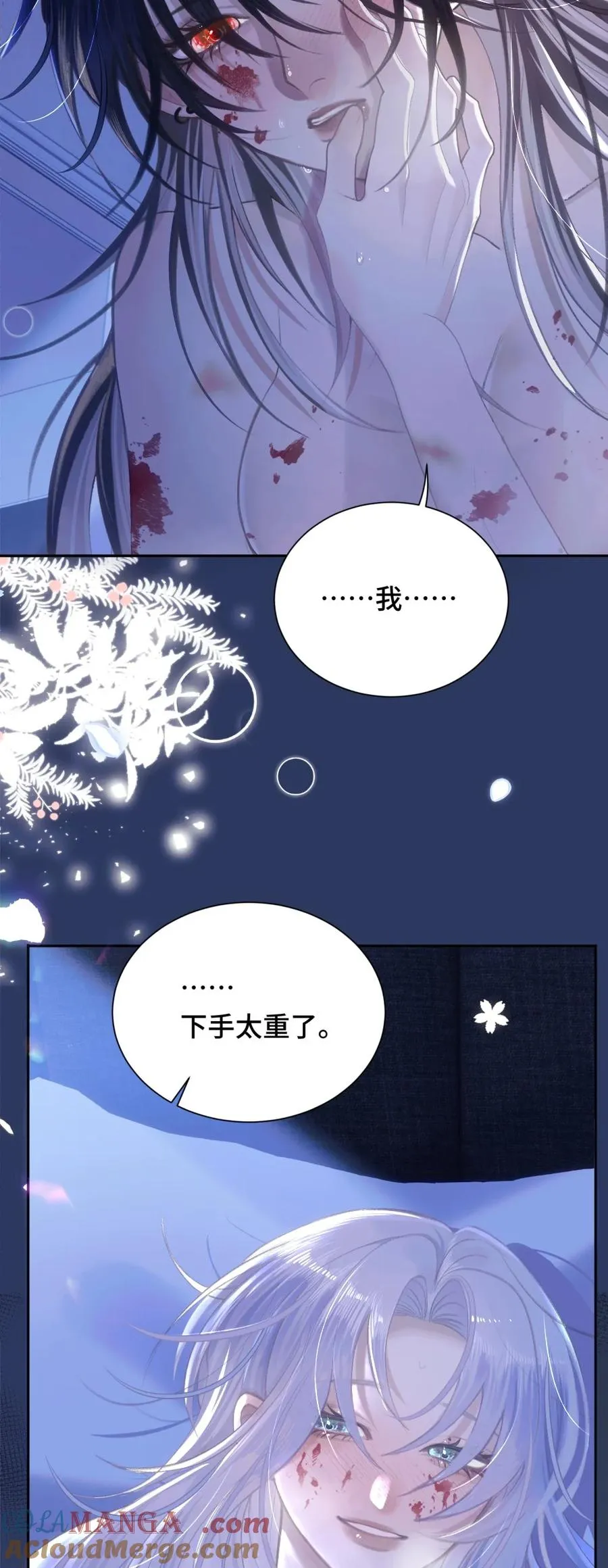 015 白芷 第4页
