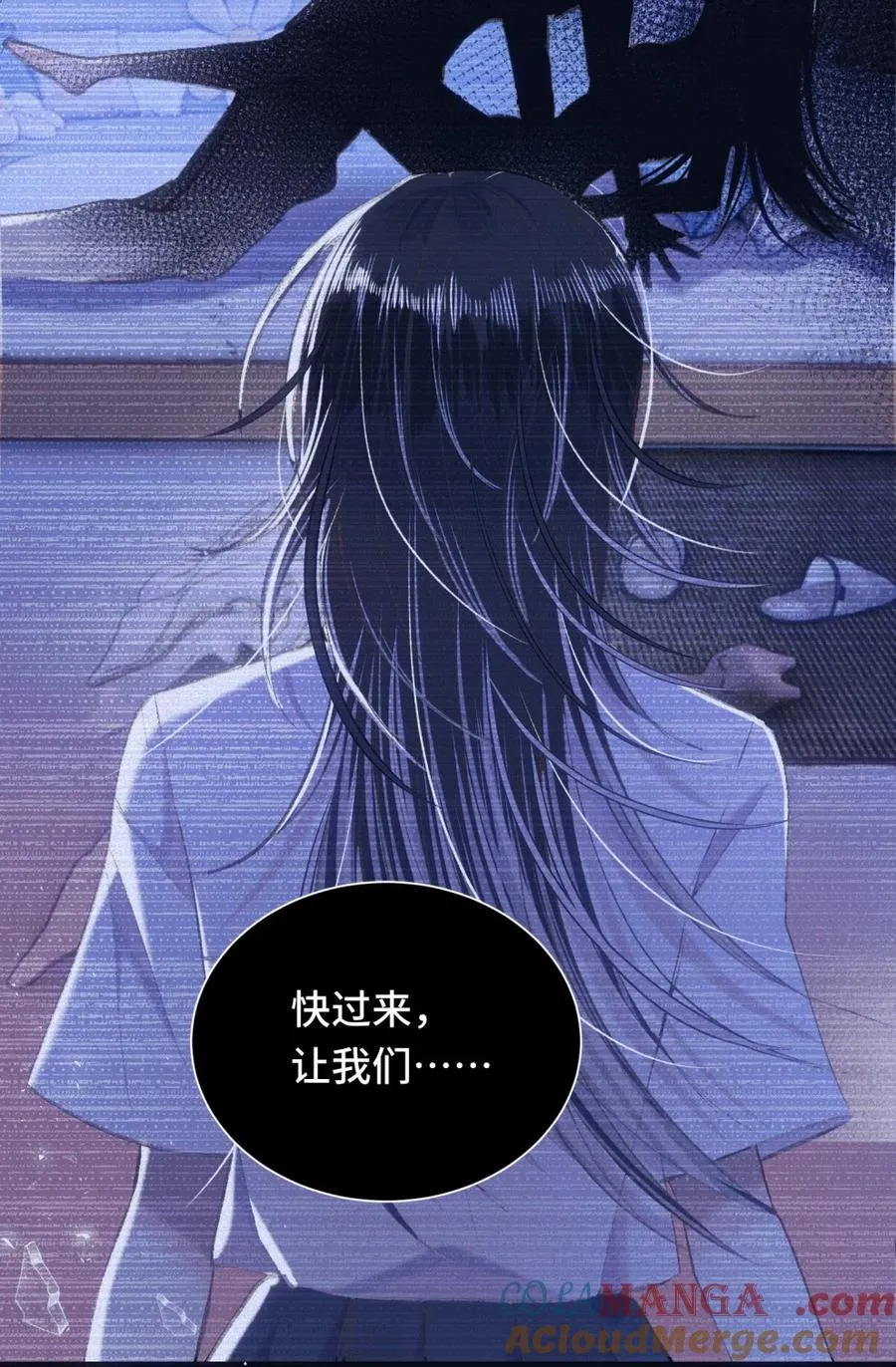 015 白芷 第7页