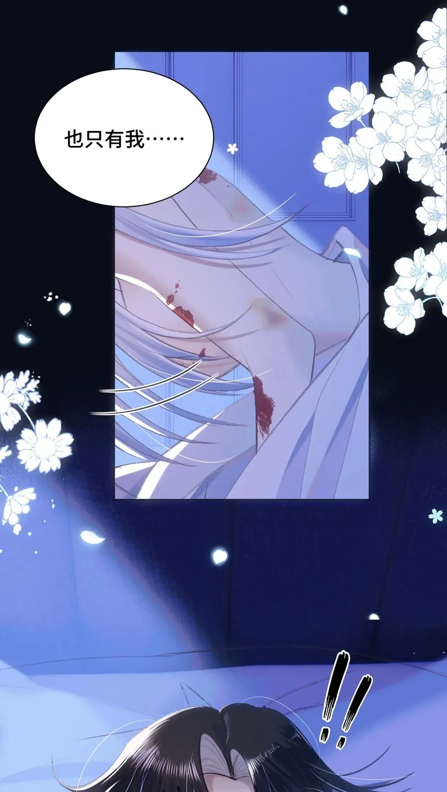 015 白芷 第11页
