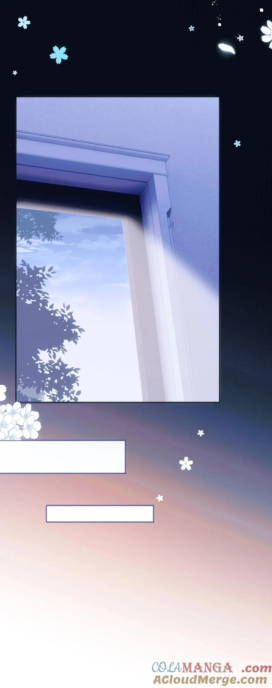 015 白芷 第13页