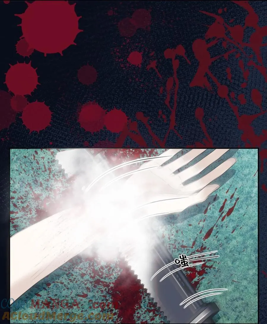 015 白芷 第25页
