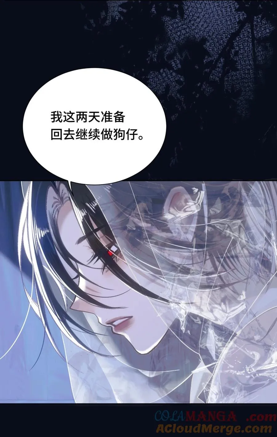 015 白芷 第28页