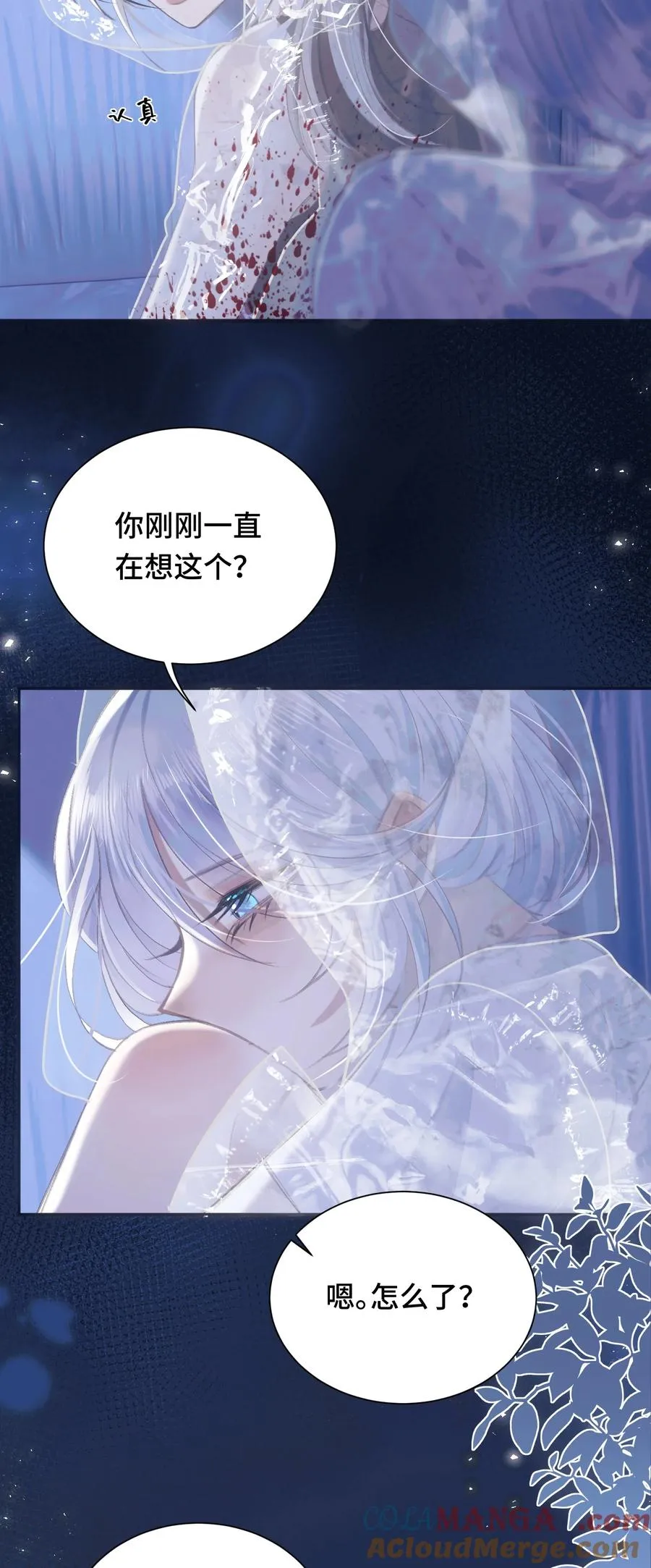 015 白芷 第31页