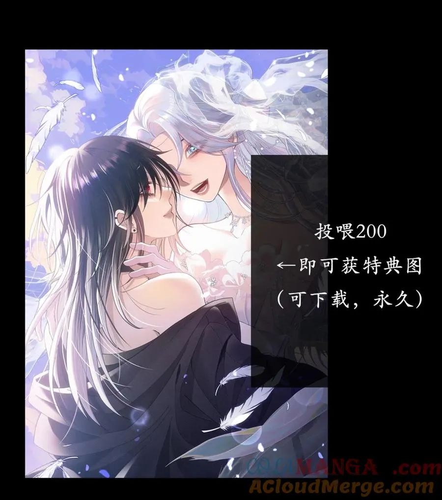 新卷活动 特典活动公告+周更通知 第2页
