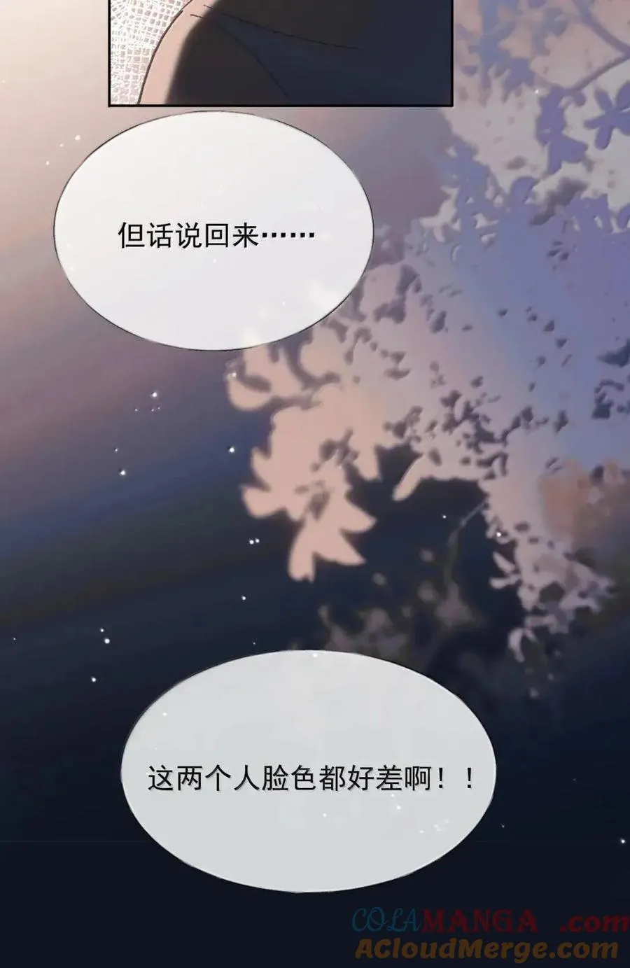 38 全部交给我 第13页