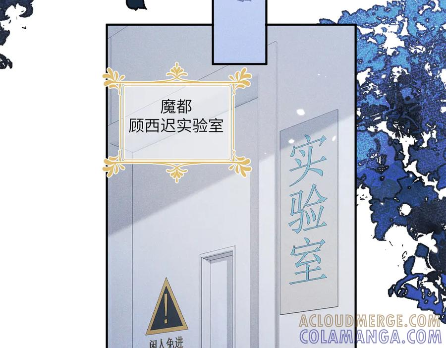 81 顾西迟，露馅了 第37页