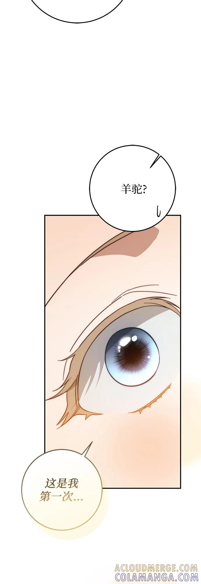 第73话 第34页