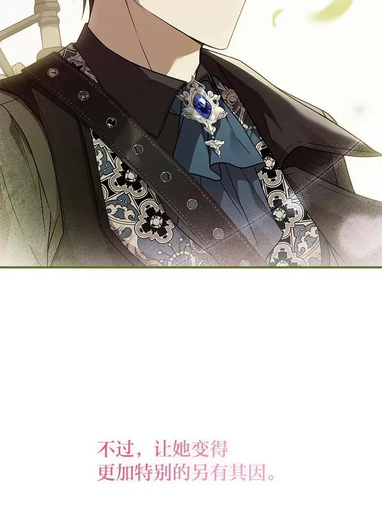 27.遇到“新角色” 第52页