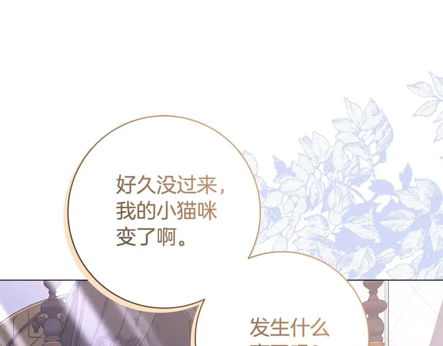第41话 月儿 第172页