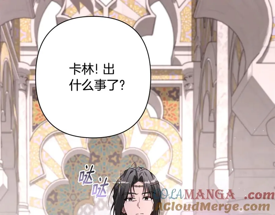 第44话 王妃通敌 第117页