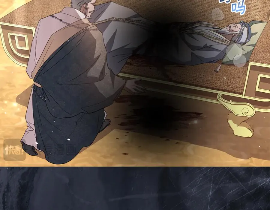 第57话 王妃被劫走 第39页