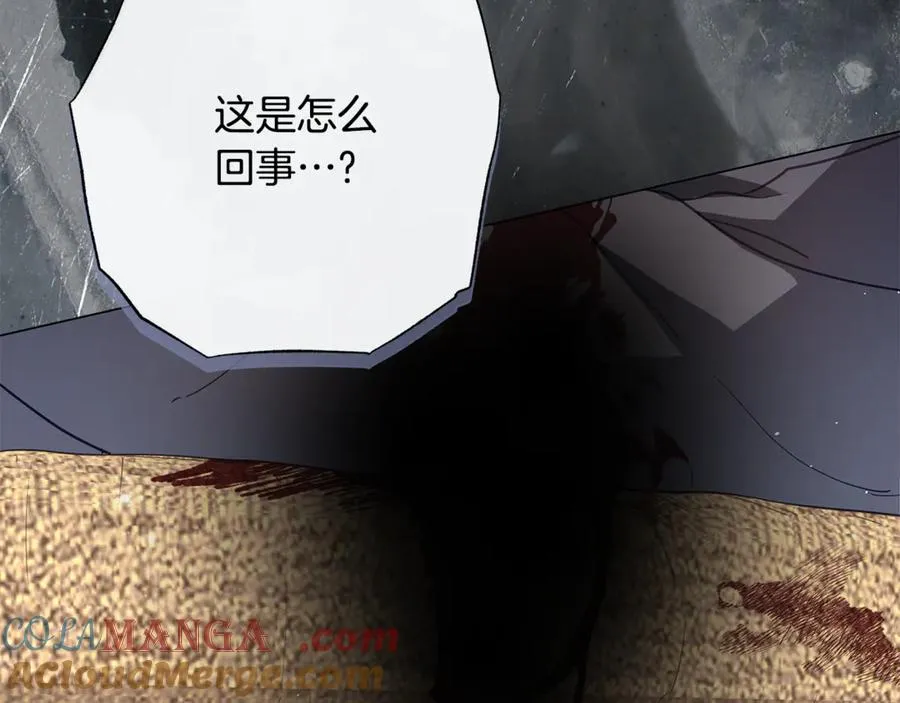 第57话 王妃被劫走 第41页