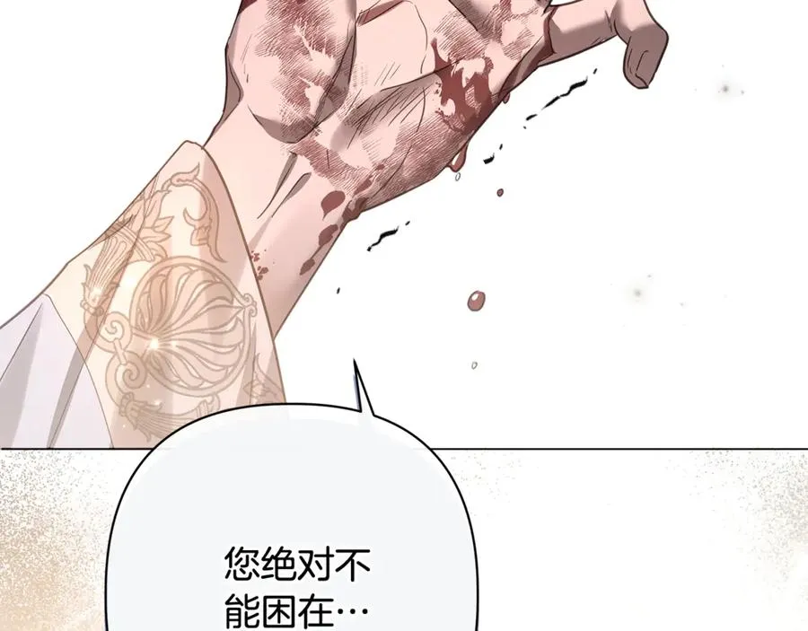 第57话 王妃被劫走 第102页