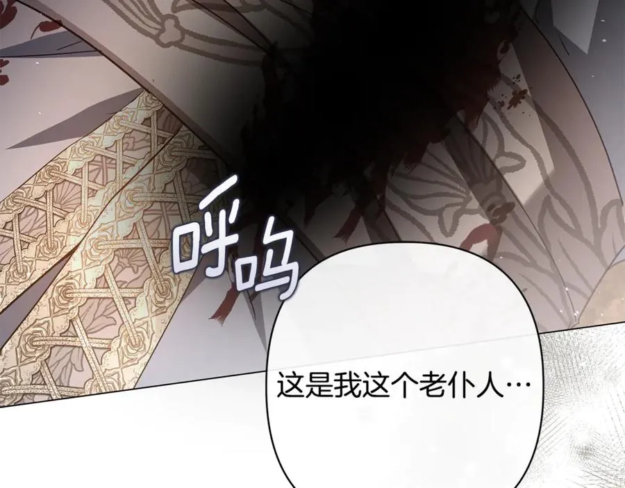 第57话 王妃被劫走 第112页